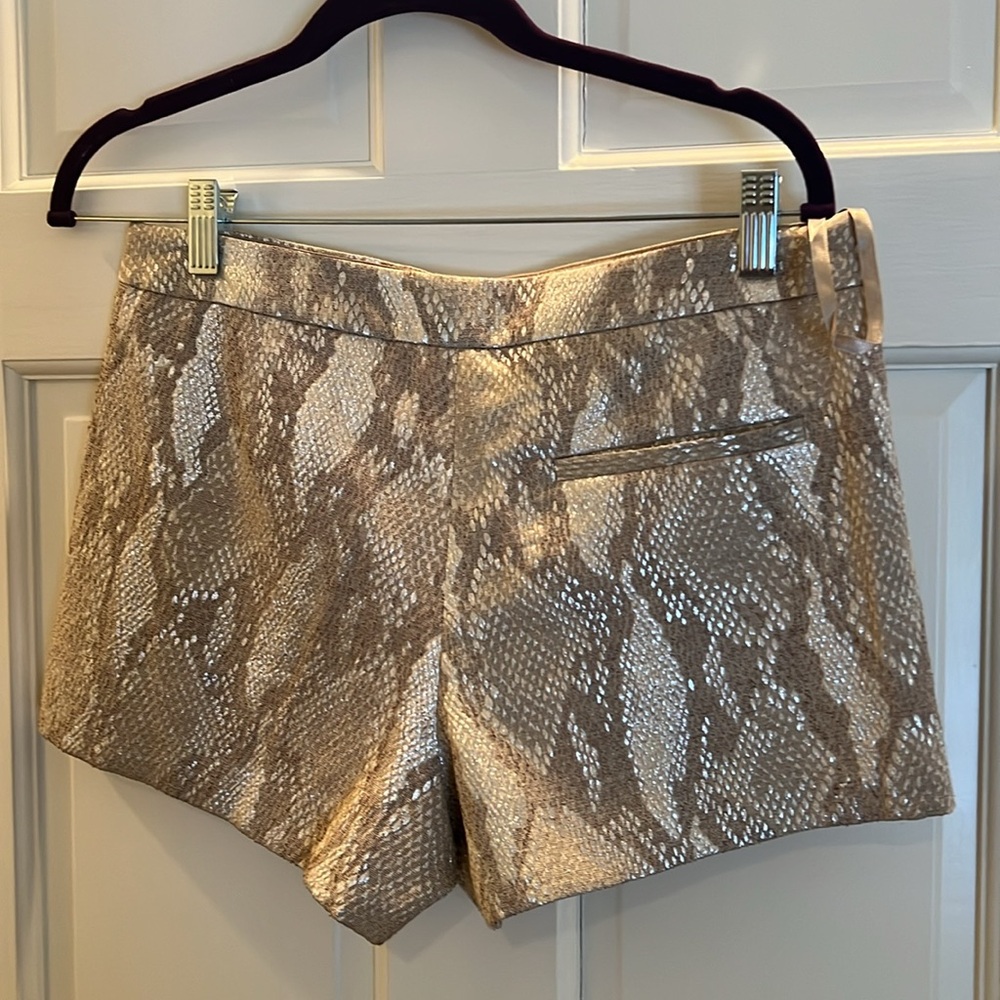 Shorts - Picture 2 of 6